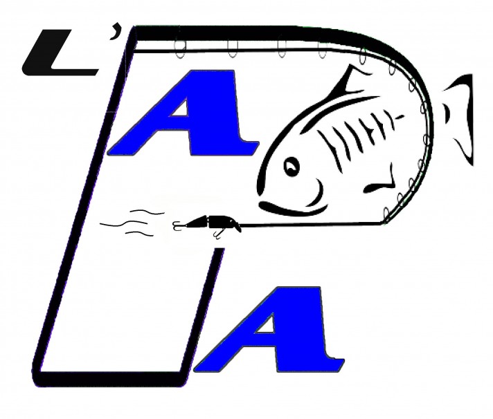 logo apa 3 avec poisson nageur bleu